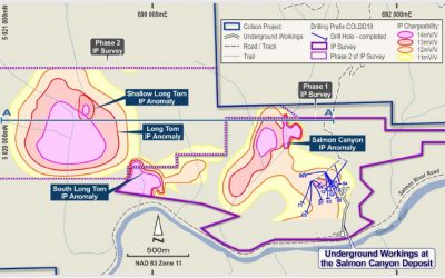 Outstanding IP results confirm new priority drill targets at Colson Cobalt‐Copper project