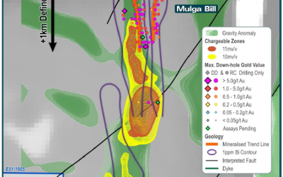 3D-IP Highlights Extensive Sulphide Zones at Mulga Bill