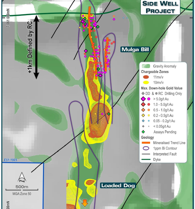 3D-IP Highlights Extensive Sulphide Zones at Mulga Bill