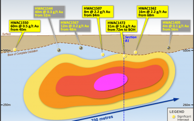 Drilling Defines Large Gold Target at Marwari