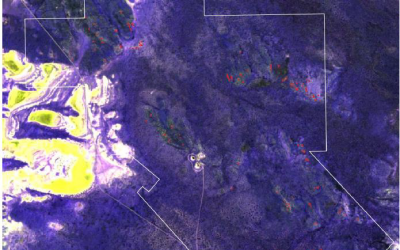 Lithium Exploration in Menzies Uncovers Multiple Outcropping Pegmatites