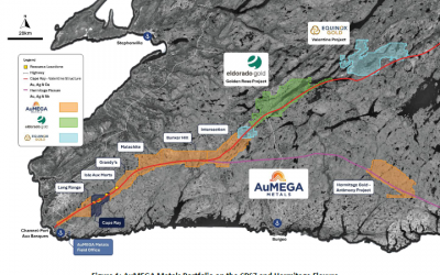 AuMEGA Identifies Major New Anomaly at the Cape Ray Project