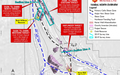 Strong IP Results Across Yandal Project