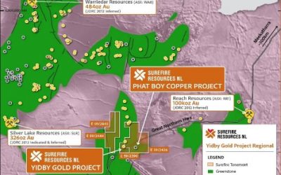 Substantial New Drill Targets Defined at Yidby old Project