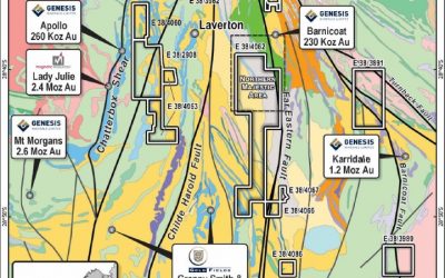 High-Grade Historic Gold Results Confirmed at Laverton